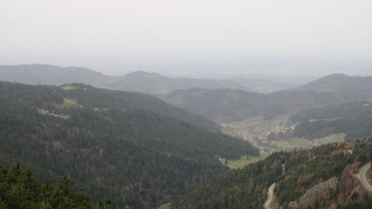 Dieses Bild zeigt eine Webcam-Aufnahme vom Achertal, aufgenommen am Freitag, den 14.11.2025 um 09:50 Uhr. Die Temperatur betrug 16.1°C.