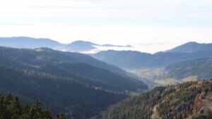 Dieses Bild zeigt eine Webcam-Aufnahme vom Achertal, aufgenommen am Montag, den 10.11.2025 um 14:50 Uhr. Die Temperatur betrug 10.2°C.