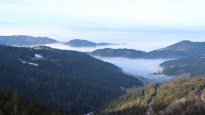 Dieses Bild zeigt eine Webcam-Aufnahme vom Achertal, aufgenommen am Freitag, den 23.01.2026 um 09:50 Uhr. Die Temperatur betrug 3.4°C.