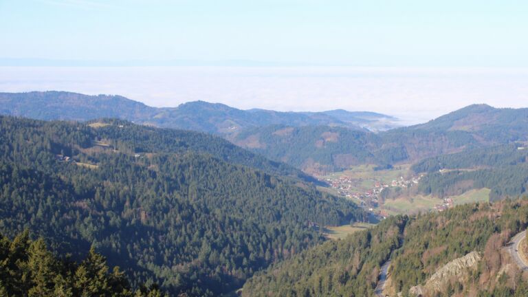 Dieses Bild zeigt eine Webcam-Aufnahme vom Achertal, aufgenommen am Donnerstag, den 26.02.2026 um 10:00 Uhr. Die Temperatur betrug 10.3°C.