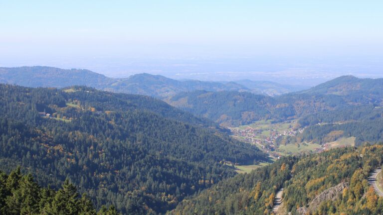 Dieses Bild zeigt eine Webcam-Aufnahme vom Achertal, aufgenommen am Samstag, den 11.10.2025 um 12:50 Uhr. Die Temperatur betrug 11.5°C.