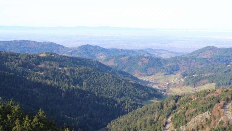 Dieses Bild zeigt eine Webcam-Aufnahme vom Achertal, aufgenommen am Mittwoch, den 12.11.2025 um 10:40 Uhr. Die Temperatur betrug 12.9°C.