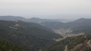 Dieses Bild zeigt eine Webcam-Aufnahme vom Achertal, aufgenommen am Samstag, den 15.11.2025 um 08:30 Uhr. Die Temperatur betrug 11.8°C.