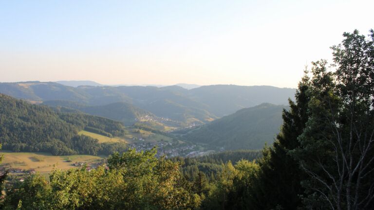 Dieses Bild zeigt eine Webcam-Aufnahme vom Achertal, aufgenommen am Dienstag, den 11.08.2026 um 19:50 Uhr. Die Temperatur betrug 25.9°C.