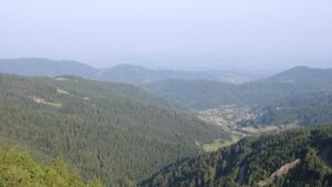 Dieses Bild zeigt eine Webcam-Aufnahme vom Achertal, aufgenommen am Samstag, den 14.06.2025 um 07:40 Uhr. Die Temperatur betrug 25.2°C.