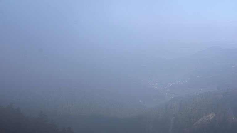 Dieses Bild zeigt eine Webcam-Aufnahme vom Achertal, aufgenommen am Mittwoch, den 15.04.2026 um 08:30 Uhr. Die Temperatur betrug 3.5°C.