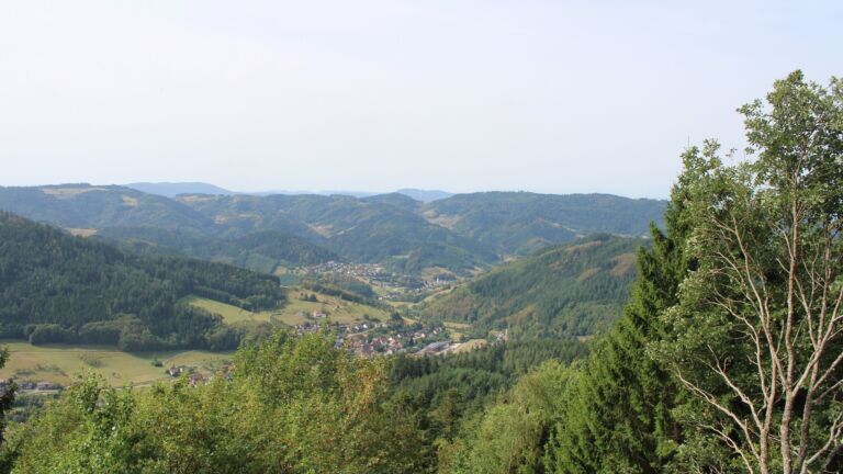 Dieses Bild zeigt eine Webcam-Aufnahme vom Achertal, aufgenommen am Donnerstag, den 27.08.2026 um 11:20 Uhr. Die Temperatur betrug 29.2°C.