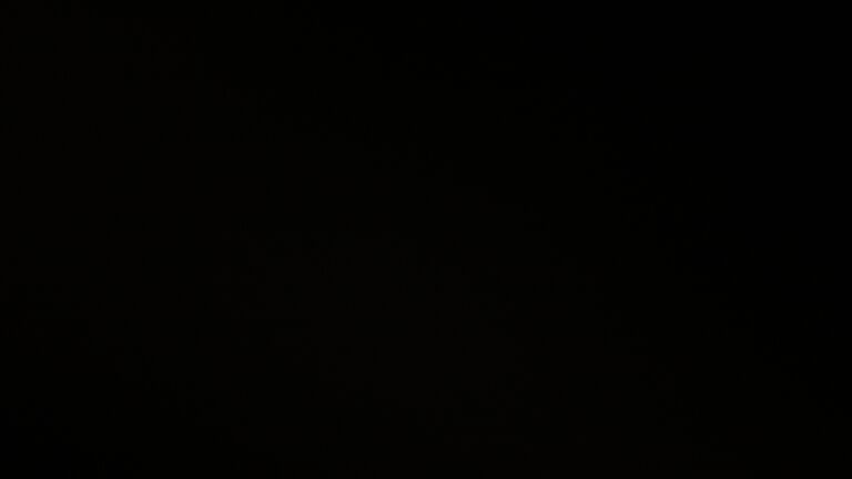 Dieses Bild zeigt eine Webcam-Aufnahme vom Achertal, aufgenommen am Montag, den 24.11.2025 um 00:30 Uhr. Die Temperatur betrug 0.6°C.