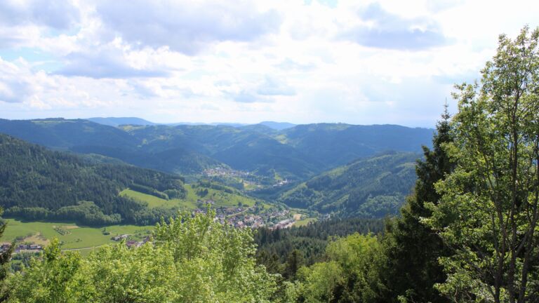 Dieses Bild zeigt eine Webcam-Aufnahme vom Achertal, aufgenommen am Samstag, den 16.05.2026 um 16:30 Uhr. Die Temperatur betrug 12.8°C.