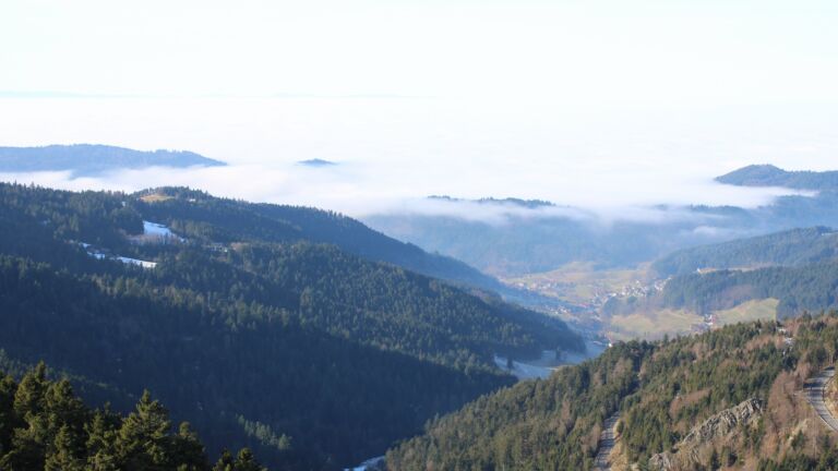 Dieses Bild zeigt eine Webcam-Aufnahme vom Achertal, aufgenommen am Montag, den 19.01.2026 um 12:30 Uhr. Die Temperatur betrug 9.1°C.