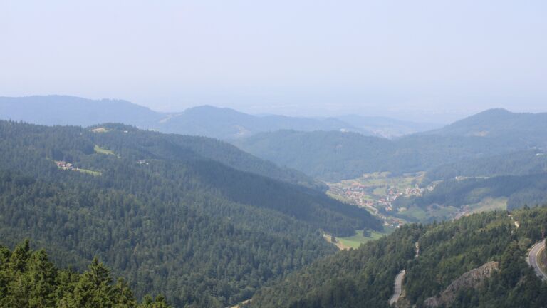 Dieses Bild zeigt eine Webcam-Aufnahme vom Achertal, aufgenommen am Freitag, den 15.08.2025 um 12:40 Uhr. Die Temperatur betrug 24.6°C.