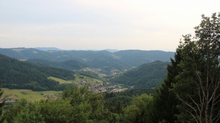 Dieses Bild zeigt eine Webcam-Aufnahme vom Achertal, aufgenommen am Mittwoch, den 22.07.2026 um 20:30 Uhr. Die Temperatur betrug 20.6°C.