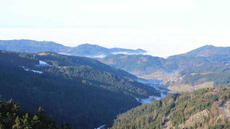 Dieses Bild zeigt eine Webcam-Aufnahme vom Achertal, aufgenommen am Mittwoch, den 21.01.2026 um 10:50 Uhr. Die Temperatur betrug 9.6°C.