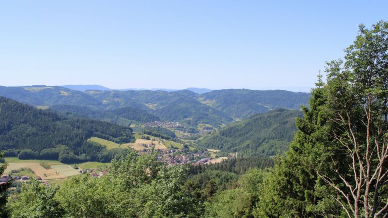 Dieses Bild zeigt eine Webcam-Aufnahme vom Achertal, aufgenommen am Freitag, den 29.05.2026 um 11:50 Uhr. Die Temperatur betrug 24°C.