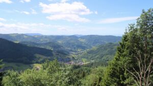 Dieses Bild zeigt eine Webcam-Aufnahme vom Achertal, aufgenommen am Samstag, den 13.06.2026 um 12:50 Uhr. Die Temperatur betrug 20.2°C.
