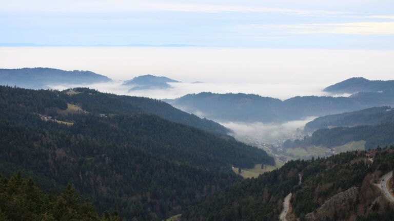 Dieses Bild zeigt eine Webcam-Aufnahme vom Achertal, aufgenommen am Dienstag, den 16.12.2025 um 14:50 Uhr. Die Temperatur betrug 10.6°C.