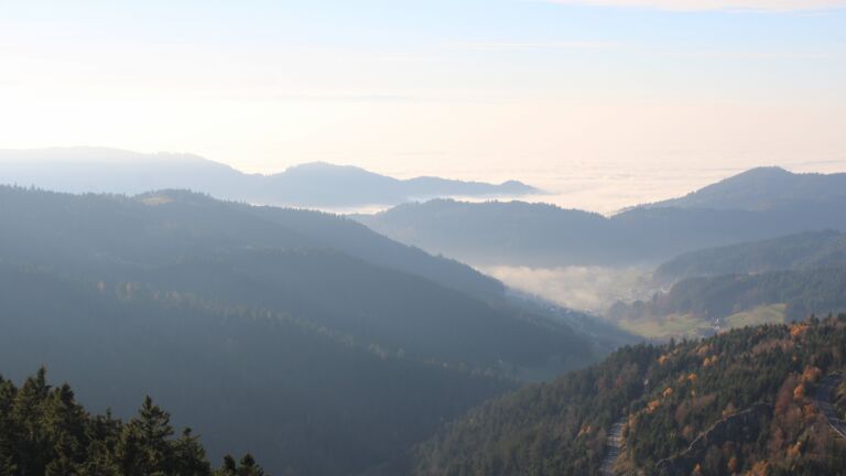 Dieses Bild zeigt eine Webcam-Aufnahme vom Achertal, aufgenommen am Samstag, den 08.11.2025 um 15:30 Uhr. Die Temperatur betrug 11°C.