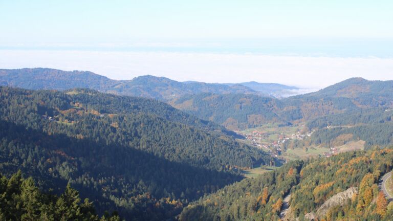 Dieses Bild zeigt eine Webcam-Aufnahme vom Achertal, aufgenommen am Donnerstag, den 16.10.2025 um 10:30 Uhr. Die Temperatur betrug 7°C.