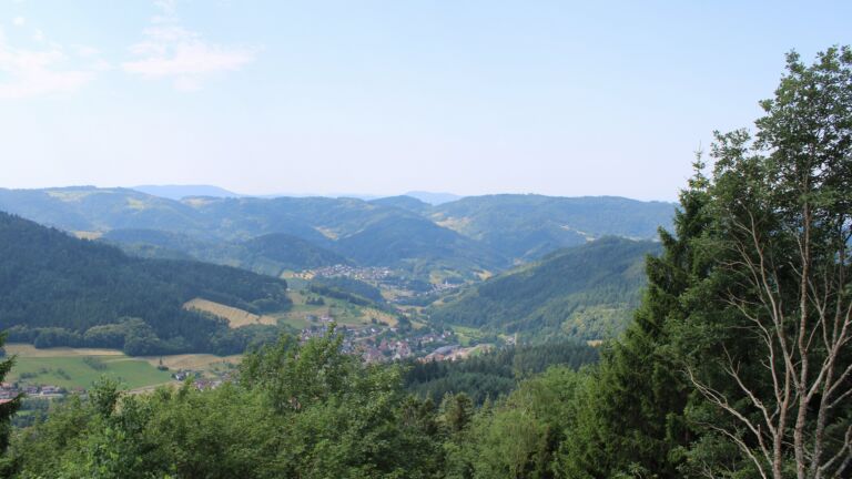 Dieses Bild zeigt eine Webcam-Aufnahme vom Achertal, aufgenommen am Sonntag, den 28.06.2026 um 11:50 Uhr. Die Temperatur betrug 29.8°C.