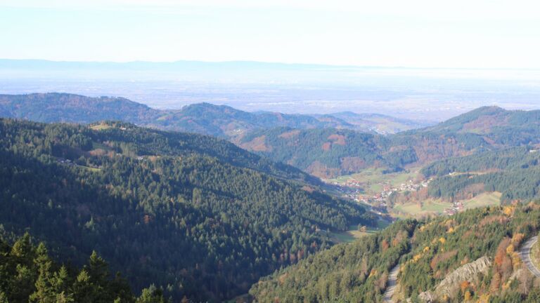 Dieses Bild zeigt eine Webcam-Aufnahme vom Achertal, aufgenommen am Mittwoch, den 05.11.2025 um 10:00 Uhr. Die Temperatur betrug 14.2°C.