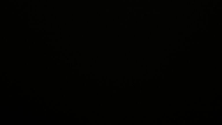 Dieses Bild zeigt eine Webcam-Aufnahme vom Achertal, aufgenommen am Dienstag, den 25.11.2025 um 00:30 Uhr. Die Temperatur betrug 0.3°C.