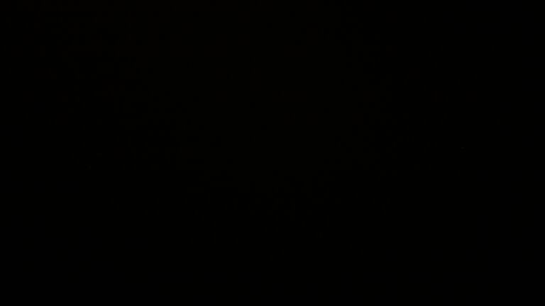 Dieses Bild zeigt eine Webcam-Aufnahme vom Achertal, aufgenommen am Montag, den 24.11.2025 um 01:30 Uhr. Die Temperatur betrug 1°C.