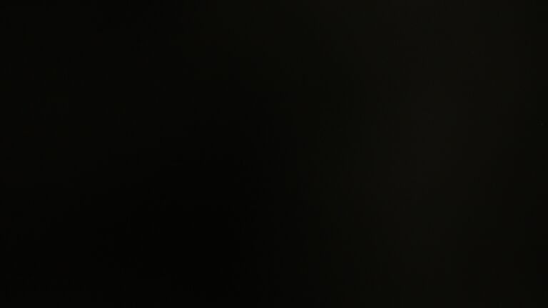 Dieses Bild zeigt eine Webcam-Aufnahme vom Achertal, aufgenommen am Donnerstag, den 20.11.2025 um 21:00 Uhr. Die Temperatur betrug -3.8°C.