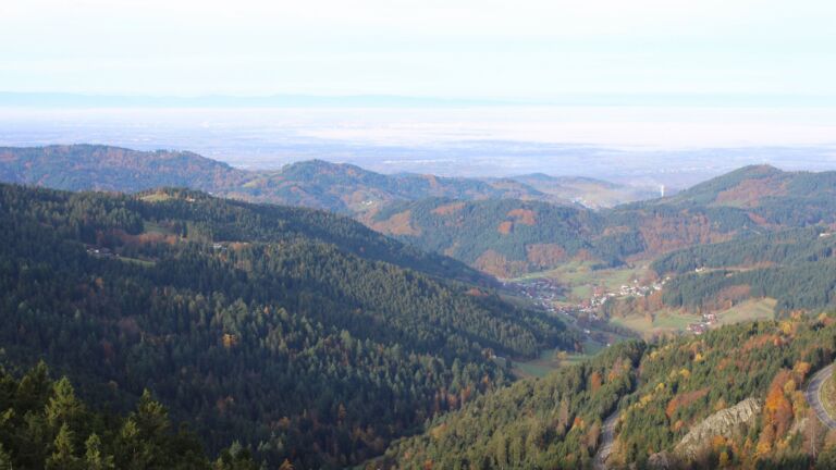 Dieses Bild zeigt eine Webcam-Aufnahme vom Achertal, aufgenommen am Freitag, den 31.10.2025 um 09:10 Uhr. Die Temperatur betrug 10°C.