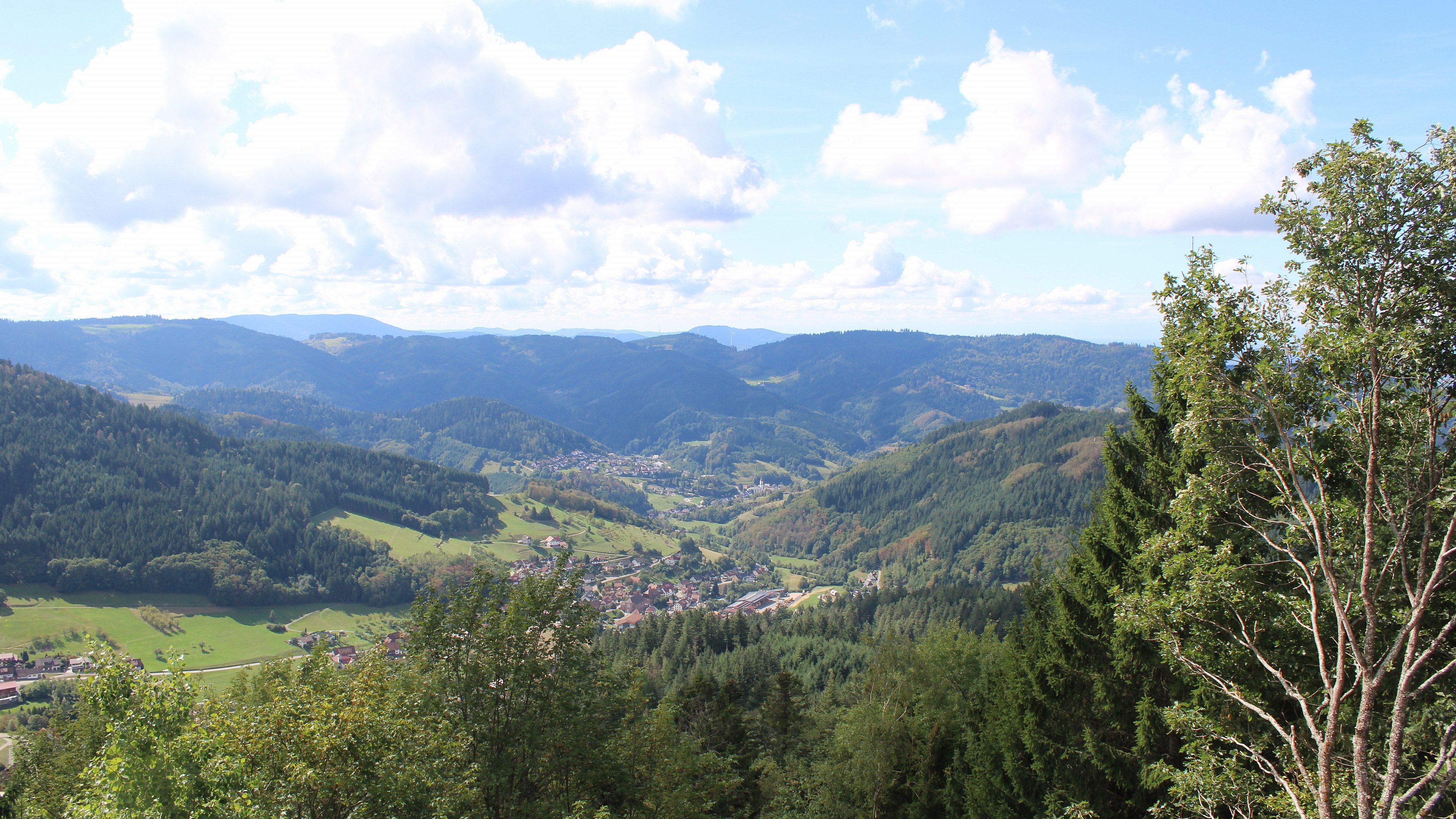Zum Fotoarchiv vom Montag, 14. September 2026