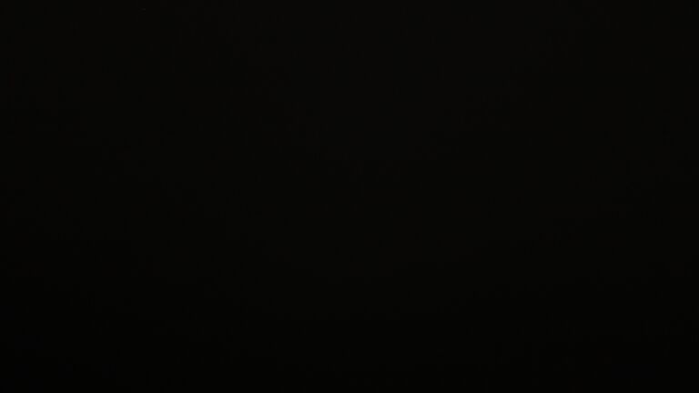 Dieses Bild zeigt eine Webcam-Aufnahme vom Achertal, aufgenommen am Montag, den 23.02.2026 um 21:00 Uhr. Die Temperatur betrug 4°C.