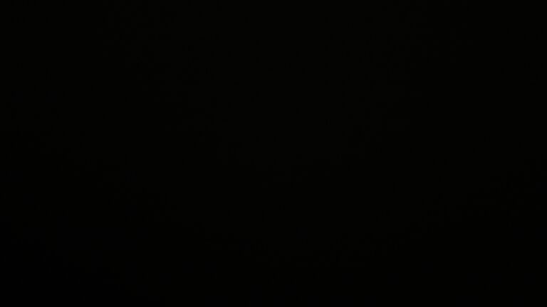 Dieses Bild zeigt eine Webcam-Aufnahme vom Achertal, aufgenommen am Montag, den 03.11.2025 um 05:20 Uhr. Die Temperatur betrug 2.3°C.