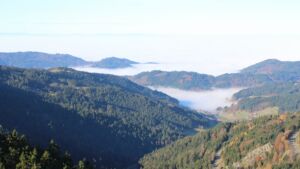 Dieses Bild zeigt eine Webcam-Aufnahme vom Achertal, aufgenommen am Samstag, den 08.11.2025 um 10:10 Uhr. Die Temperatur betrug 12.6°C.