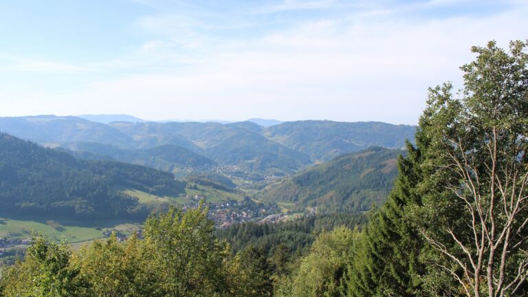 Dieses Bild zeigt eine Webcam-Aufnahme vom Achertal, aufgenommen am Dienstag, den 29.09.2026 um 11:30 Uhr. Die Temperatur betrug 25.2°C.