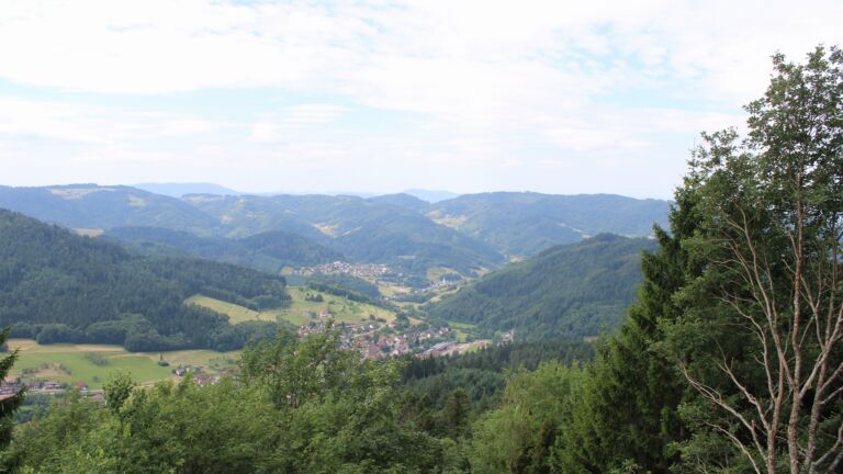 Dieses Bild zeigt eine Webcam-Aufnahme vom Achertal, aufgenommen am Mittwoch, den 08.07.2026 um 11:30 Uhr. Die Temperatur betrug 23.3°C.
