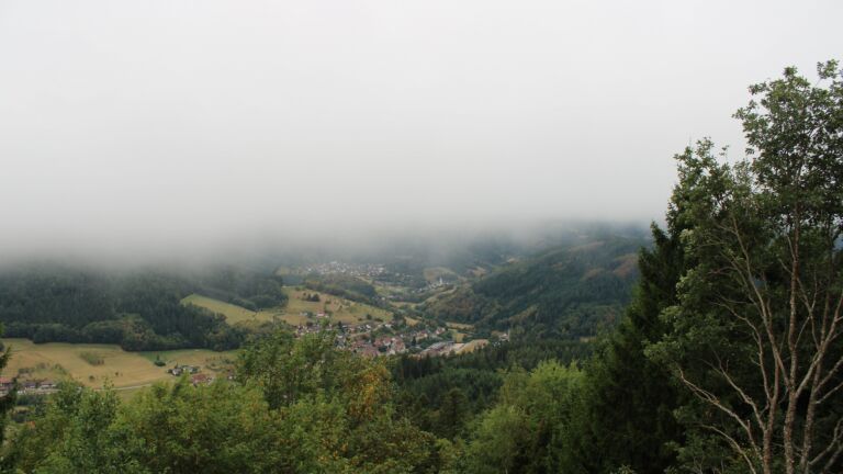 Dieses Bild zeigt eine Webcam-Aufnahme vom Achertal, aufgenommen am Donnerstag, den 20.08.2026 um 09:30 Uhr. Die Temperatur betrug 16°C.