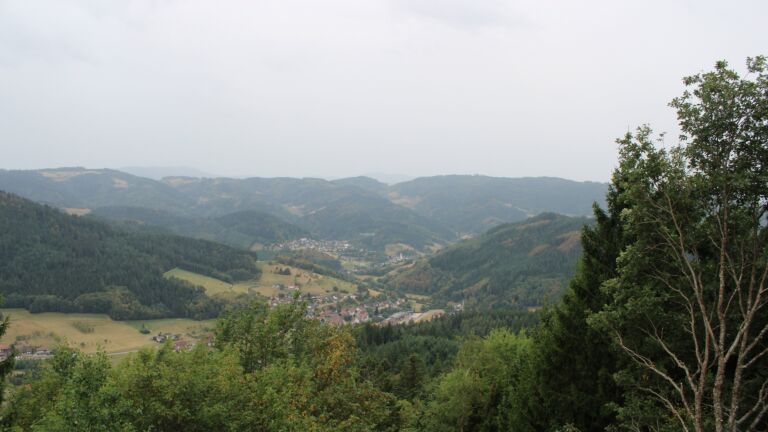 Dieses Bild zeigt eine Webcam-Aufnahme vom Achertal, aufgenommen am Freitag, den 21.08.2026 um 11:40 Uhr. Die Temperatur betrug 17°C.