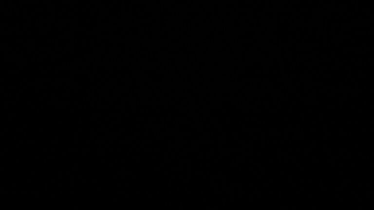 Dieses Bild zeigt eine Webcam-Aufnahme vom Achertal, aufgenommen am Montag, den 23.02.2026 um 04:00 Uhr. Die Temperatur betrug 4.1°C.