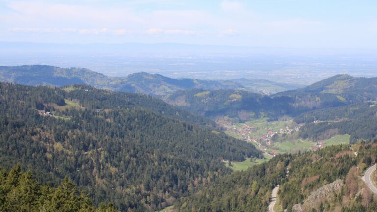 Dieses Bild zeigt eine Webcam-Aufnahme vom Achertal, aufgenommen am Freitag, den 17.04.2026 um 11:50 Uhr. Die Temperatur betrug 14.8°C.