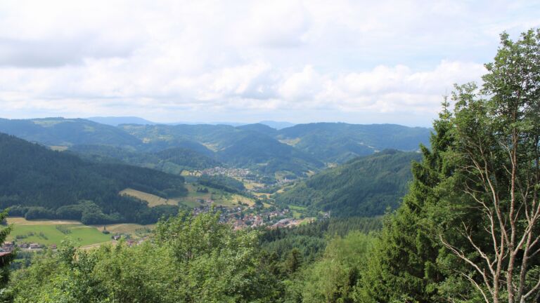 Dieses Bild zeigt eine Webcam-Aufnahme vom Achertal, aufgenommen am Montag, den 29.06.2026 um 12:20 Uhr. Die Temperatur betrug 22.8°C.