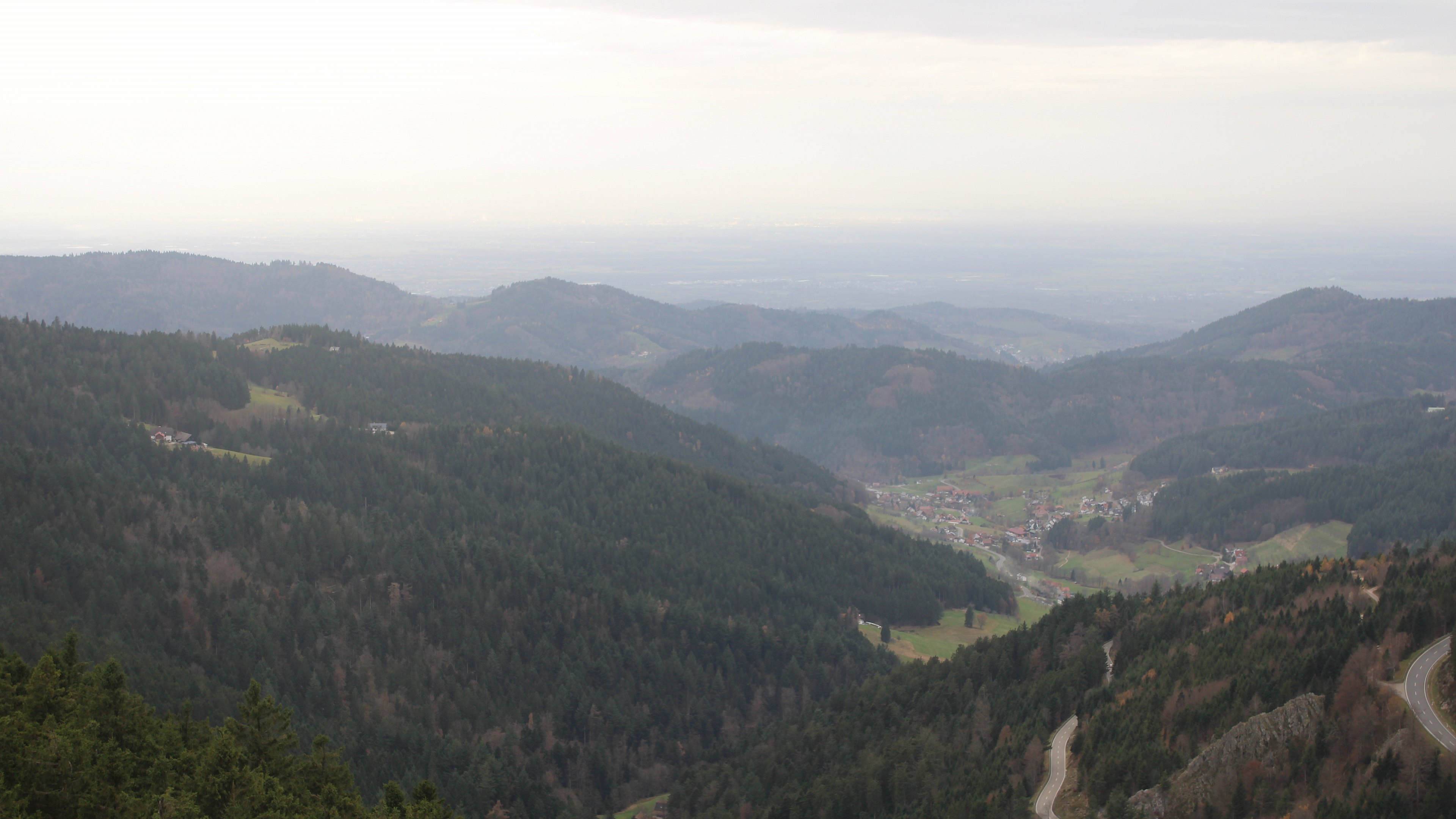 Zum Fotoarchiv vom Samstag, 15. November 2025