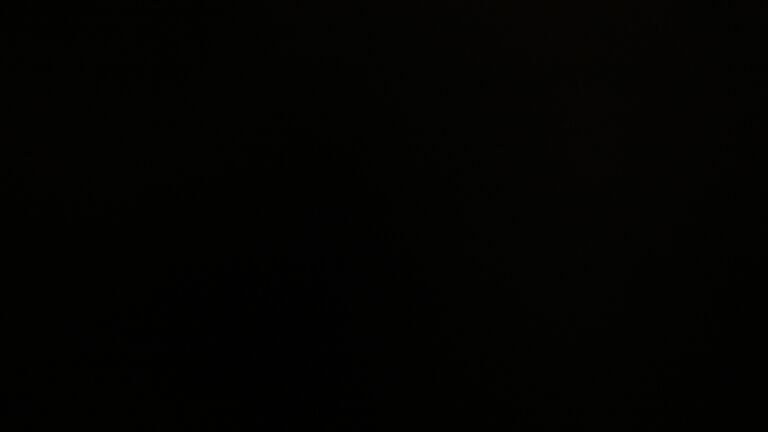 Dieses Bild zeigt eine Webcam-Aufnahme vom Achertal, aufgenommen am Donnerstag, den 20.11.2025 um 21:30 Uhr. Die Temperatur betrug -4.1°C.