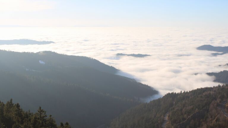 Dieses Bild zeigt eine Webcam-Aufnahme vom Achertal, aufgenommen am Sonntag, den 08.02.2026 um 16:20 Uhr. Die Temperatur betrug 2.6°C.