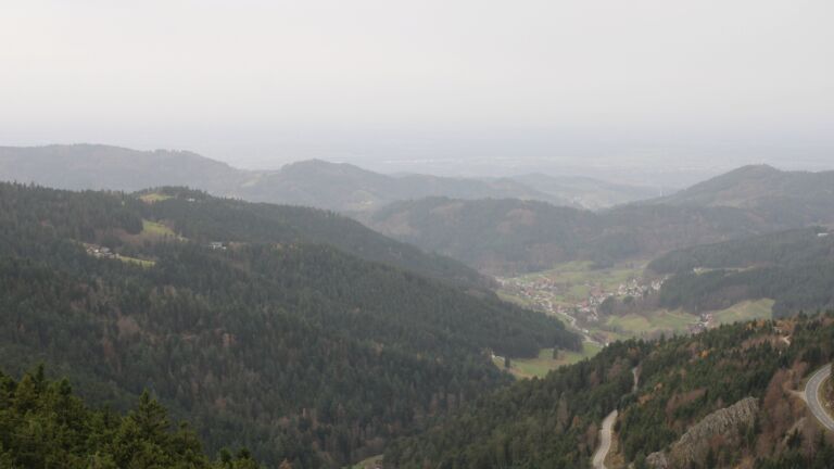 Dieses Bild zeigt eine Webcam-Aufnahme vom Achertal, aufgenommen am Freitag, den 14.11.2025 um 12:20 Uhr. Die Temperatur betrug 16.7°C.