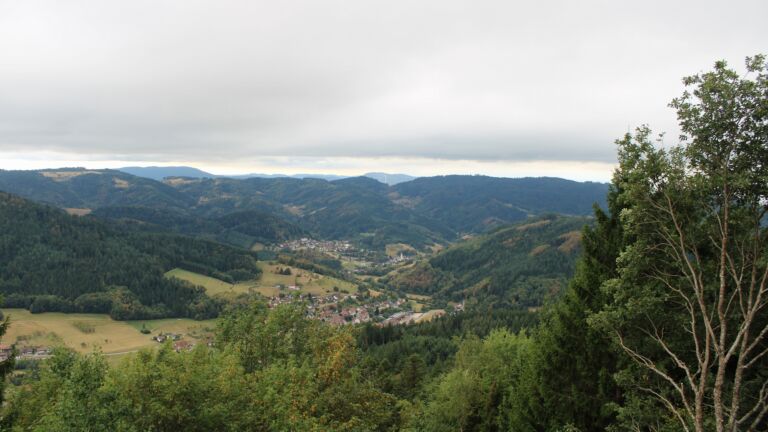 Dieses Bild zeigt eine Webcam-Aufnahme vom Achertal, aufgenommen am Donnerstag, den 20.08.2026 um 13:00 Uhr. Die Temperatur betrug 16.2°C.