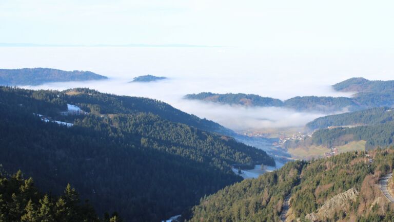 Dieses Bild zeigt eine Webcam-Aufnahme vom Achertal, aufgenommen am Dienstag, den 20.01.2026 um 11:00 Uhr. Die Temperatur betrug 8.4°C.