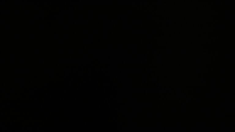 Dieses Bild zeigt eine Webcam-Aufnahme vom Achertal, aufgenommen am Donnerstag, den 20.11.2025 um 20:00 Uhr. Die Temperatur betrug -4°C.