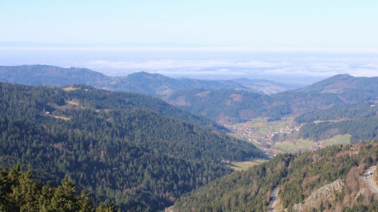 Dieses Bild zeigt eine Webcam-Aufnahme vom Achertal, aufgenommen am Donnerstag, den 26.02.2026 um 11:00 Uhr. Die Temperatur betrug 12.9°C.