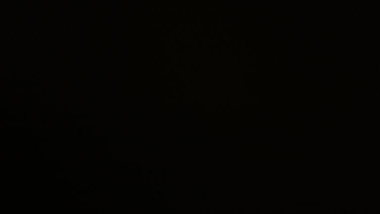 Dieses Bild zeigt eine Webcam-Aufnahme vom Achertal, aufgenommen am Donnerstag, den 20.11.2025 um 05:30 Uhr. Die Temperatur betrug -2.9°C.