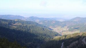 Dieses Bild zeigt eine Webcam-Aufnahme vom Achertal, aufgenommen am Sonntag, den 01.03.2026 um 09:40 Uhr. Die Temperatur betrug 5°C.