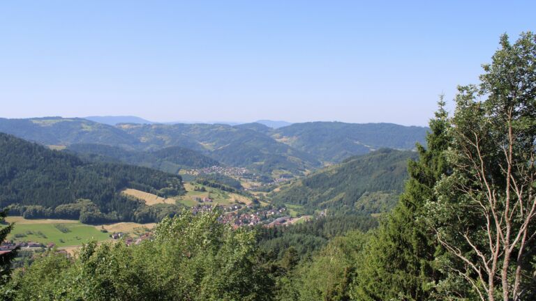 Dieses Bild zeigt eine Webcam-Aufnahme vom Achertal, aufgenommen am Donnerstag, den 25.06.2026 um 11:00 Uhr. Die Temperatur betrug 30°C.